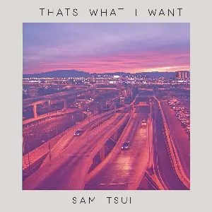 Pochette de Thats What I Want (Piano Acoustic) de Sam Tsui