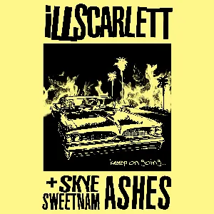 Pochette de Ashes (Keep On Going) de Skye Sweetnam