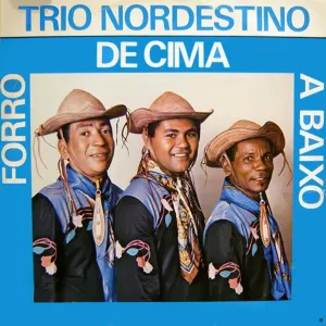 Pochette de Forró de Cima a Baixo de Trio Nordestino