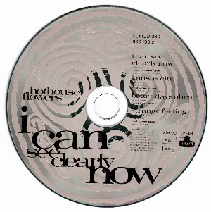Pochette de I Can See Clearly Now de Hothouse Flowers