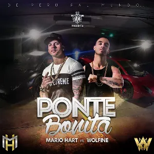 Pochette de Ponte bonita de Wolfine