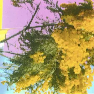 Pochette de Into Dust (Still Falling) de Four Tet