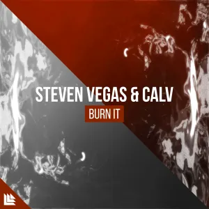 Pochette de Burn It de Steven Vegas