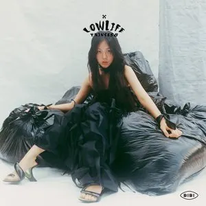 Pochette de Lowlife Princess: Noir de BIBI