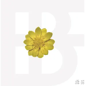 Pochette de ADONIS de BOYFRIEND