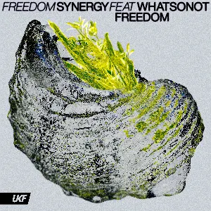 Pochette de Freedom de What So Not