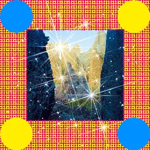 Pochette de Honey de Caribou