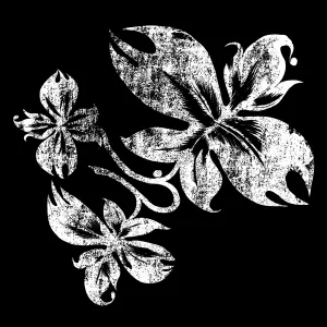 Pochette de Lemak, Aingurak de Berri Txarrak