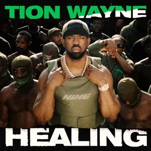Pochette de Healing de Tion Wayne