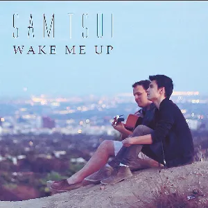 Pochette de Wake Me Up (Acoustic) de Sam Tsui