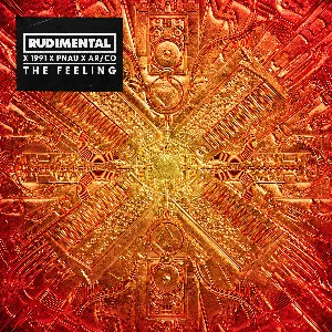 Pochette de The Feeling de PNAU - Rudimental