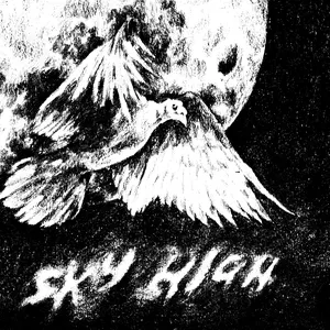 Pochette de Red House de Sky High