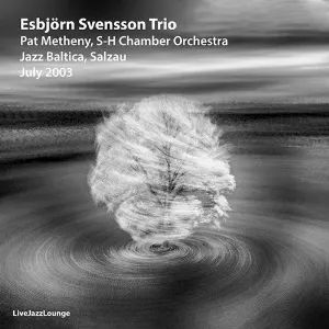 Pochette Esbjörn Svensson Trio w/Pat Metheny, Schleswig-Holstein Chamber Orchestra