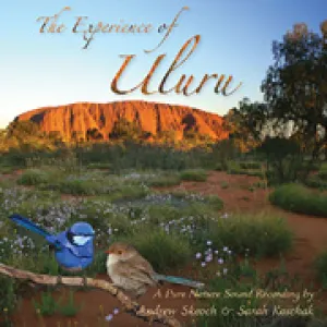 Pochette de The Experience of the Uluru de Andrew Skeoch
