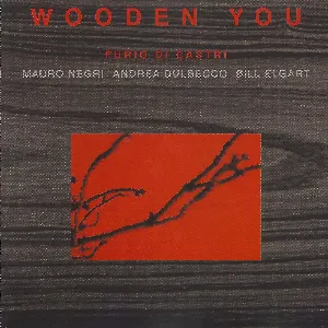 Pochette de Wooden You de Furio Di Castri