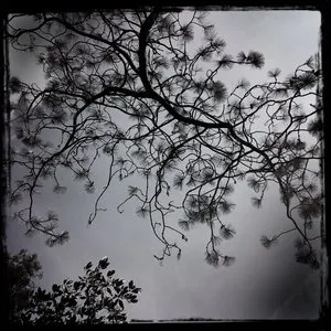 Pochette de Treasure of Stars (Streams of Consciousness) de Dirk Serries