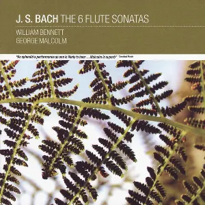 Pochette The 6 Flute Sonatas