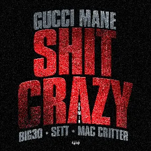 Pochette de Shit Crazy (remix) de Gucci Mane