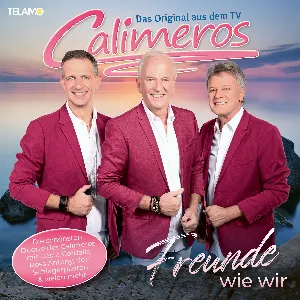 Pochette de Freunde wie wir de Calimeros