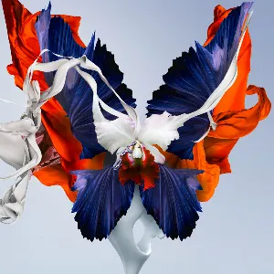 Pochette de Free the Dragon de Schiller