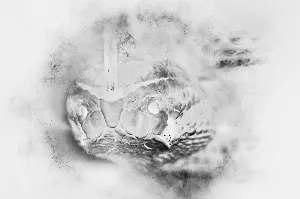 Pochette de If We Were Made of Pure Poison, Then I'd Know That the Rain Will Somehow Bring You Back, but I Don't Quite Know Whether the Darkness Is a Game You Play or Is This Just a Song to Be Cried About? de Wings of an Angel