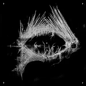 Pochette de Solace in Virtue’s Absence de Caged Bastard