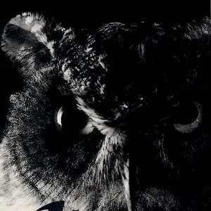 Pochette de 真夜中のヒーロー de Elephant Kashimashi