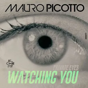 Pochette Private Eyes (Watching You)