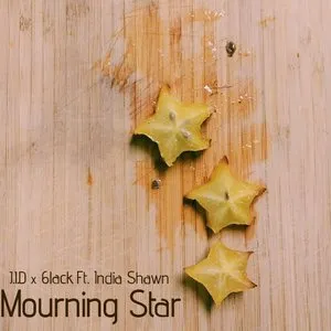 Pochette de Mourning Star de JID