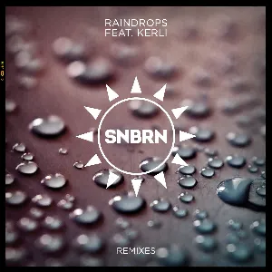 Pochette Raindrops (remixes)