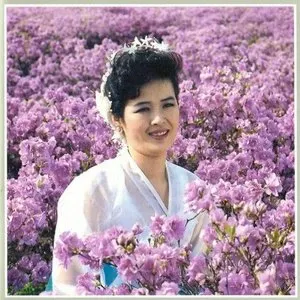 Pochette de Vol. 7: Merited Artiste Kim Gwang Suk's Solos 2 de Pochonbo Electronic Ensemble