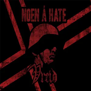 Pochette de Noen å hate de Vreid