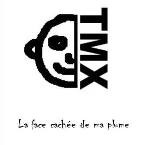 Pochette de La face cachée de ma plume de David TMX