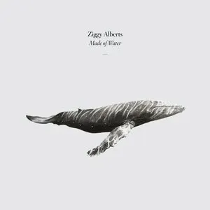 Pochette de Made of Water de Ziggy Alberts