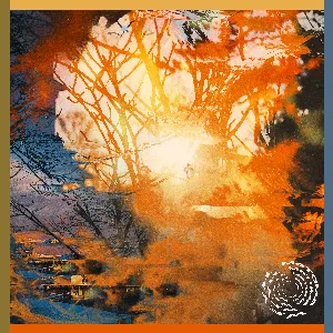 Pochette de Won’t Follow You Home de Matoma