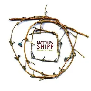 Pochette de Harmony and Abyss de Matthew Shipp