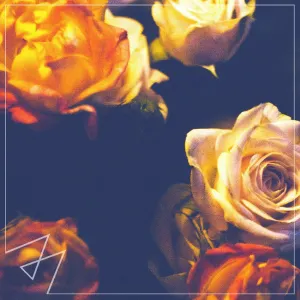Pochette de Closer de Madilyn Bailey
