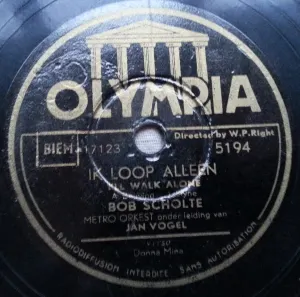 Pochette de Ik loop alleen / Donna Mina de Bob Scholte