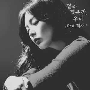 Pochette de 달라졌을까, 우리 de The Ade