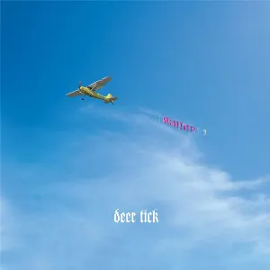 Pochette de Negativity de Deer Tick