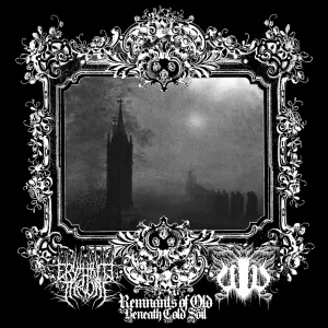 Pochette de Remnants of Old Beneath Cold Soil de Erythrite Throne