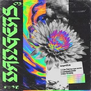 Pochette de Bangers[3].Zip de GRiZ