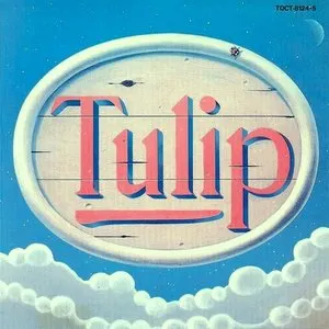 Pochette de TULIP LAND de Tulip