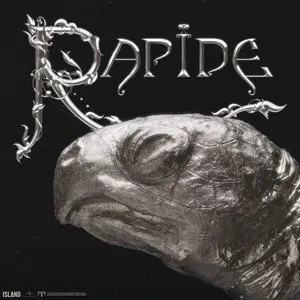 Pochette de Rapide de Mahmood