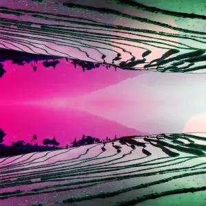 Pochette de La dune aux épaves de Le Wanski