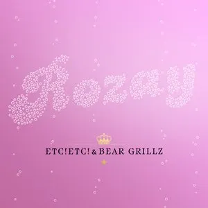 Pochette de Rozay de Bear Grillz