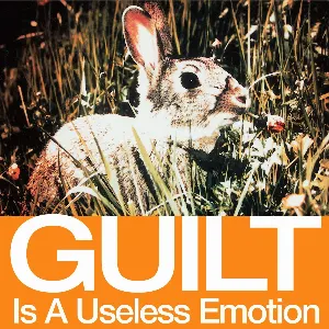 Pochette Guilt Is a Useless Emotion (DMD Consumer version)