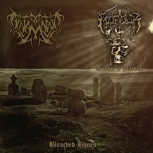 Pochette de Bleached Bones de Al-Namrood