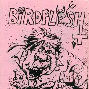 Pochette de We Were 7 Who 8… Our Neighbours on a Plate de Birdflesh