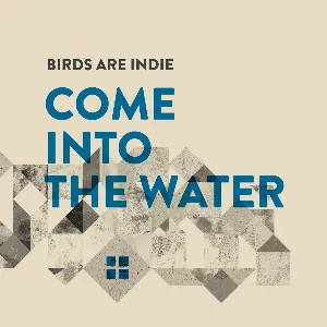 Pochette de Come Into the Water de Birds Are Indie